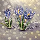 Песни крокусов