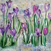 Первоцветы. Крокусы