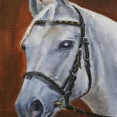 Голова серой лошади