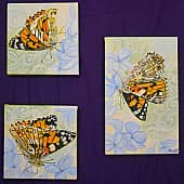 Невесомость