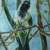 Соседи живущие во дворе..