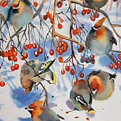 Свиристели