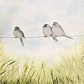 Птички на проводе