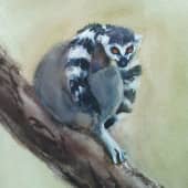 Задумчивый лемур