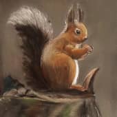 Белка с орешком