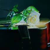 Гитара и Роза