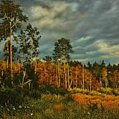 Последнии лучи заходящего солнца