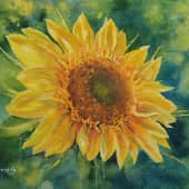 Солнечный цветок