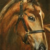 Голова лошади