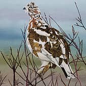 Северная красавица