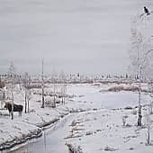 Оз. Горевое. Ненецкий автономный округ.