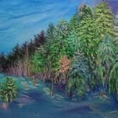 Молчит и дышит зимний лес. Не  рубите, а берегите его.