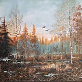 Птичий полёт  над полесским болотом