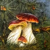 Дружная семейка