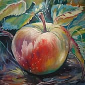 Спелое яблоко.