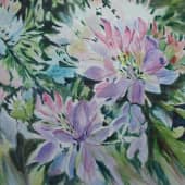 Цветы. Лето.