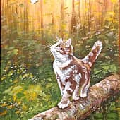 За бабочкой