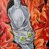 Тютелька в сорванной шторе