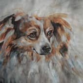 Не виноват.