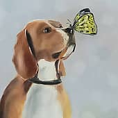 Живи, люби, лай!