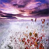 Повстречалась осень с зимой