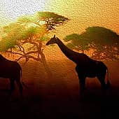 Животные 080