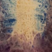 В золотом капюшоне