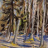 Лесной март