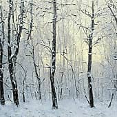 Картина "Январь 2024"