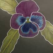 Анютины глазки