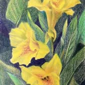 Солнечное трио