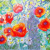 Маки и моя тень