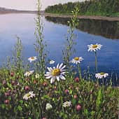 Ромашки