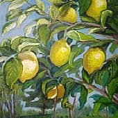 Лимонное дерево