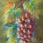 Ветка винограда