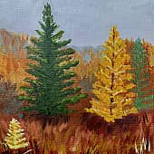 Осенние краски