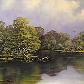 Вниз воды катит тихая река