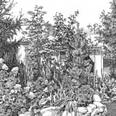 Банька. Задний двор в саду