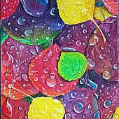 Листья после дождя