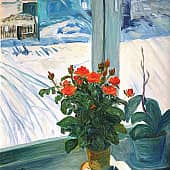 Зимние розы.