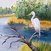 В тихой заводи