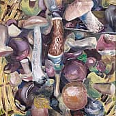 Дары сентября