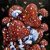 Мухоморы в лесу