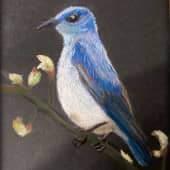 Синяя птичка