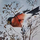 Снегирь, зима