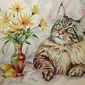 Натюрморт с котиком