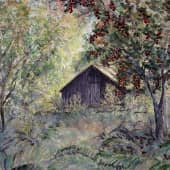 Райки в заброшенном саду