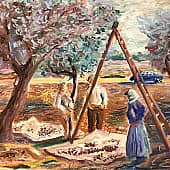 Сборщики оливок