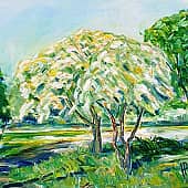 Цветущий боярышник