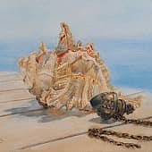 Морские сокровища